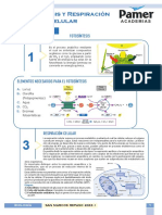 Biología - Repaso 1 - Fotosíntesis y Respiración Celular