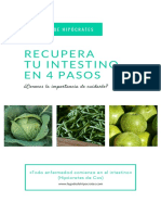 Recupera Tu Intestino en 4 Pasos