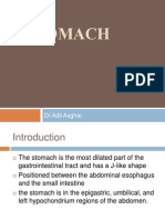 Stomach: DR Adil Asghar