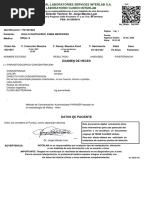 PDF Documento