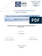 Plan de Sauvetage Pour Les Entreprises en Difficultés: Rôle de L'expert-Comptable