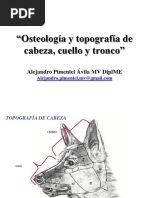 "Osteología Y Topografía de Cabeza, Cuello Y Tronco": Alejandro Pimentel Ávila MV Diplme