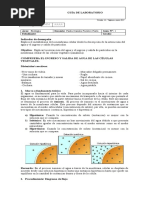 Guía de Laboratorio Sexto