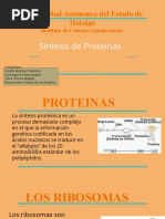 Universidad Autónoma Del Estado de Hidalgo: Síntesis de Proteínas