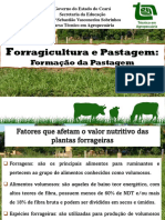 Orragicultura e Pastagem:: Formação Da Pastagem