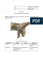 6288787c5b072 Bio2206l Exercise 7a Muscles of The Head Neck and Shoulders