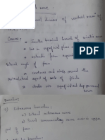 Common Peroneal Nerve