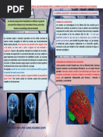 Resumen de Neurociencia - Daniel