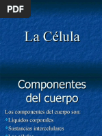 LaCélulas