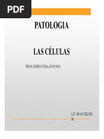 Patologia I Celula