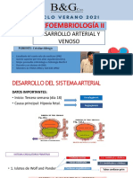 2 Desarrollo Embriológico Arterial Venoso