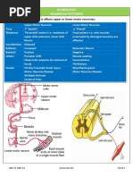 Neurology - Weakness Patterns