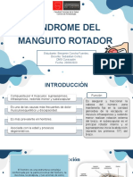 Síndrome Del Manguito Rotador