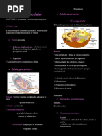 BIOLOGIA