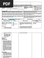 Planificacion - Plan de Destrezas Con Criterio de Desempeño