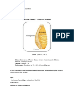 Composicion Quimica Del Arroz