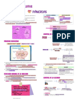 Diabetes Mellitus