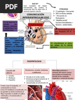 Comunicación Interventricular