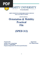 Orientation and Mobility