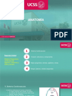 Sistema Cardiovascular, Estructura y Componentes Del Corazon, Vasos Sanguines, Arteriasetc, Sangre, Plasma Celulas Sanguineas