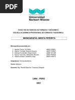 Proyecto de Investigación Formativa (Monografía) - Grupo 5