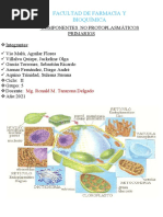 Semana 2 - Informe 2 - Componentes No Protoplasmàtico Primarios