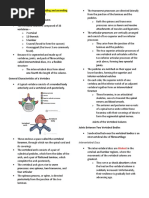 Intervertebral Discs: Thickest