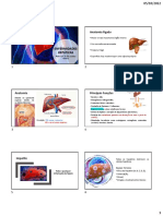 Enfermidades Hepáticas: Anatomia Fígado