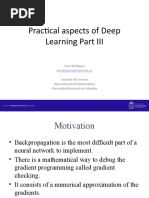 Practical Aspects of Deep Learning PIII