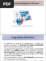 Programación de Proyectos y Procesos