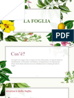 La Foglia