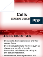 Cells: General Zoology