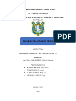 Bienes Pubblicos Monografia