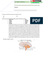 Evaluacion Iv Bimestre