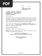 Promoción Autorización Pasante Juzgado - Civil Oral