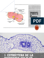 Seminario 1 - Transporte A Travès de La Membrana