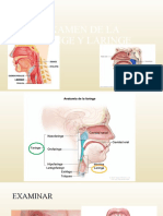 Examen de La Faringe Y Laringe