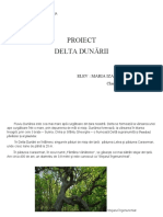 Proiect Delta Dunării: Elev: Maria Izabela Hamza Clasa II C