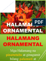 Halamang Ornamental