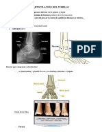 Articulación Del Tobillo