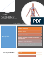 Sistema Cardiovascular: Educação Física - Professor Andrew Frota