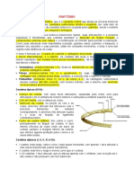 Anatomia: Costelas Típicas (III-IX)