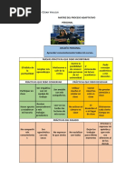 Evidencia Matriz Del Proceso Adaptativo