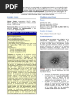 Casos Clinicos Hepatitis