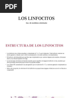 Linfocitos