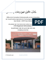 Rapport de Stage de Fin de Formations