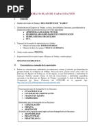 Formato Plan de Capacitación: Multiservicios "Tadeo"