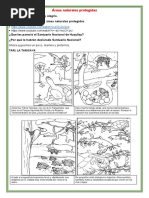 Áreas Naturales Protegidas: Ahora Juguemos Un Poco, Leamos y Pintemos