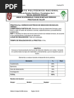 P-4 Horno Elect. Induc. Sin Nucleo