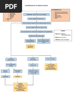 Addisons Disease Pathophysiology